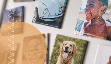 Turn Your Memories into Magnets: Why Photo Fridge Magnets Never Go Out of Style